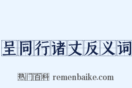 呈同行诸丈反义词是什么意思的图片